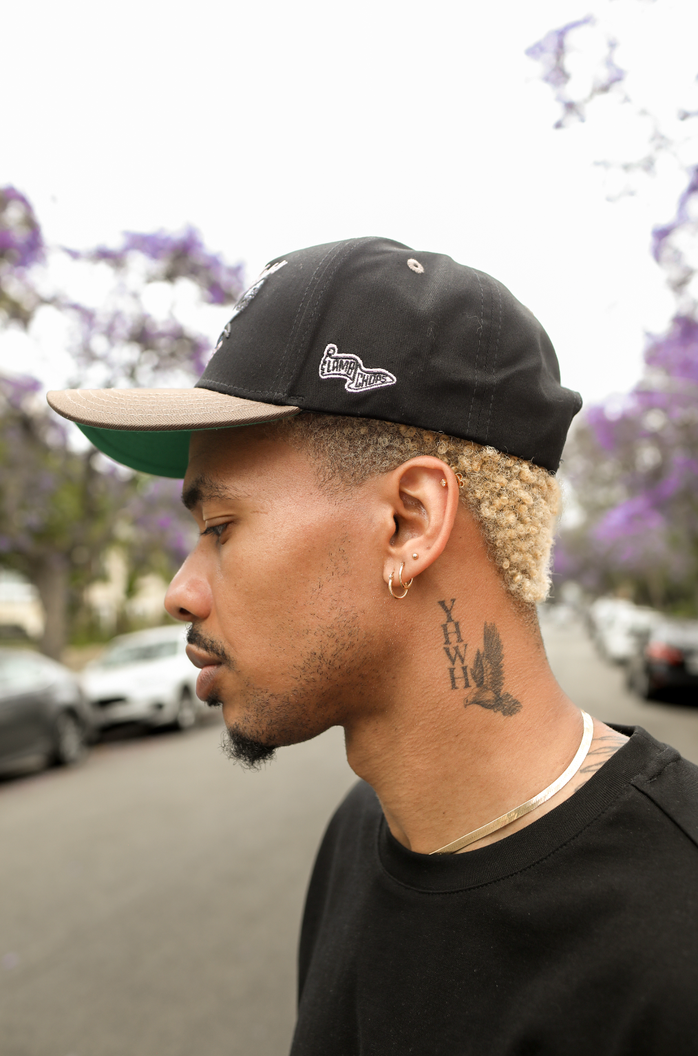 Black Shark Snapback