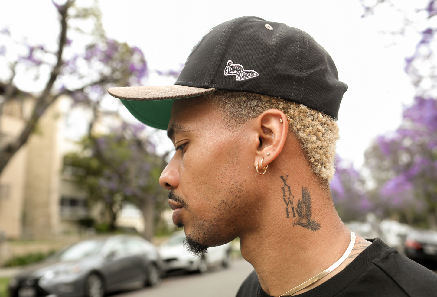 Black Shark Snapback
