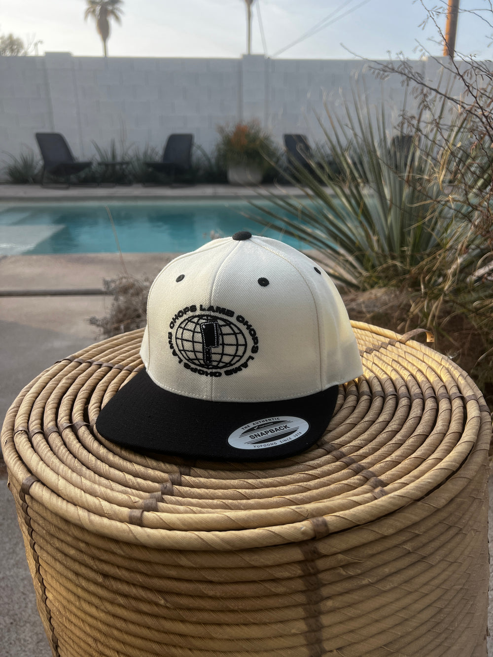 Winter 25 Worldwide Snapback (Natural/Black)