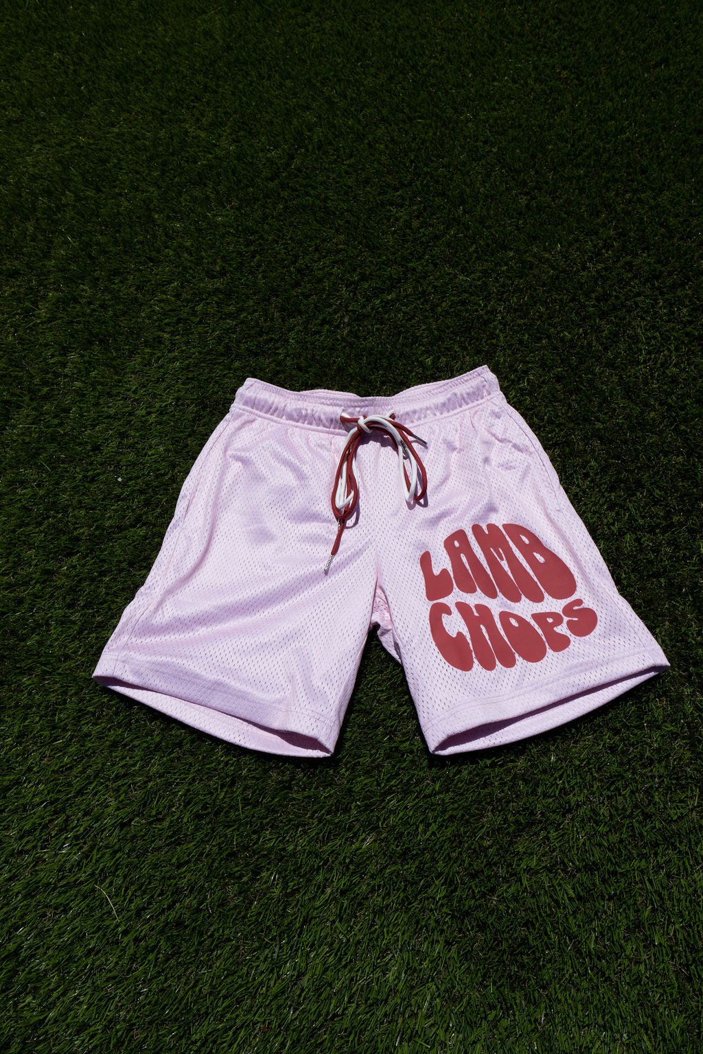 Cherry Mesh Shorts